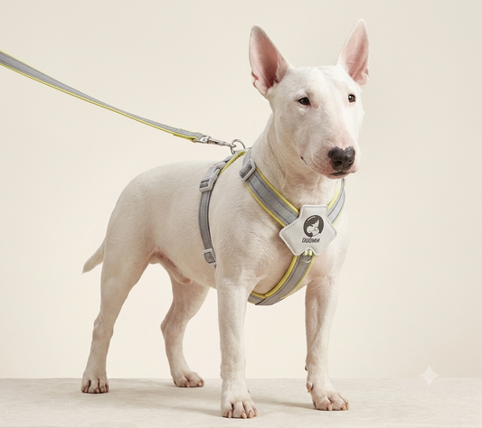 Reflective Safety Harness Vest for Small to Medium Dogs