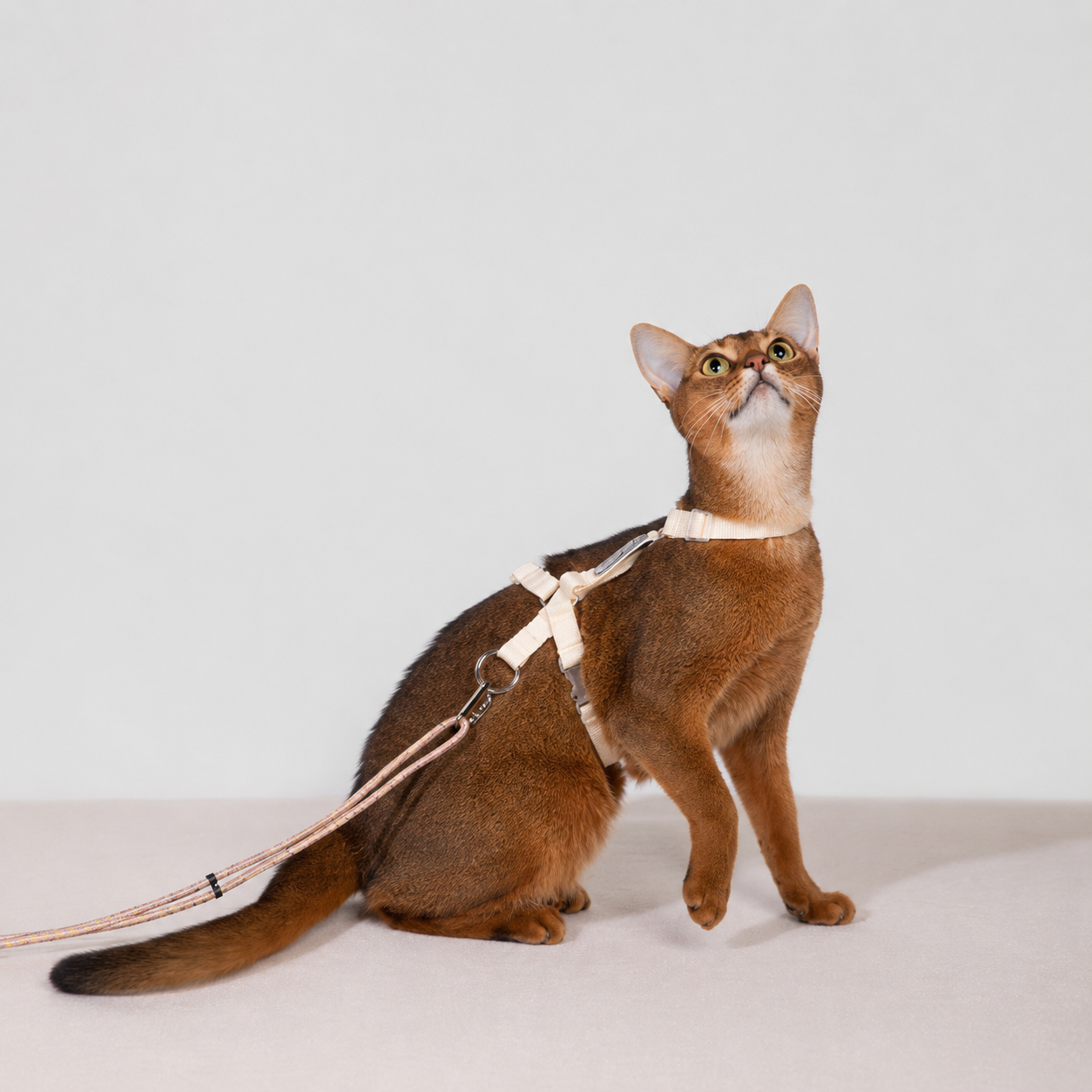 HiDREAM Bobo Free-Explore Cat Harness & Leash Set