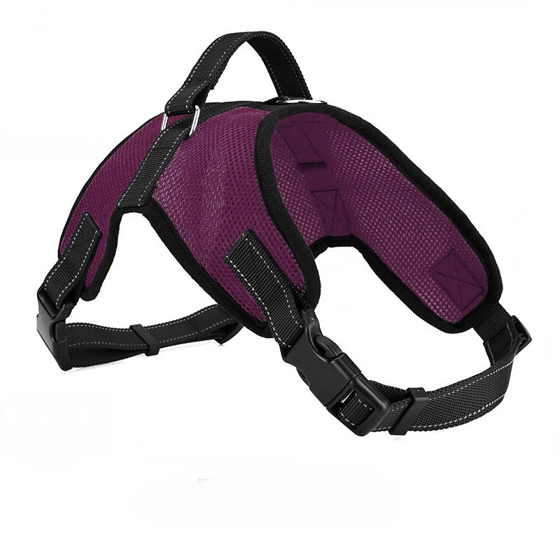 Breathable Dog Leash with Simple Pet Chest Harness