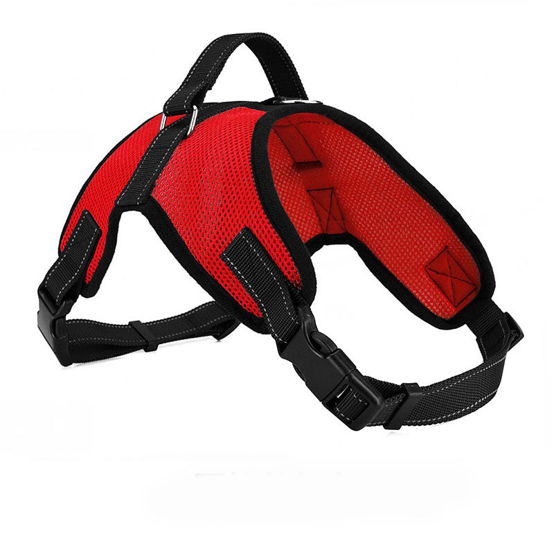 Breathable Dog Leash with Simple Pet Chest Harness