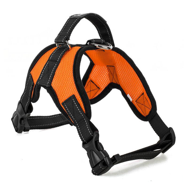 Breathable Dog Leash with Simple Pet Chest Harness
