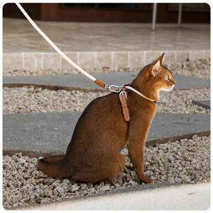 HiDREAM X-Shape Cat Harness & Leash Set | Escape-Proof, Lightweight 33g with Leather Buckle