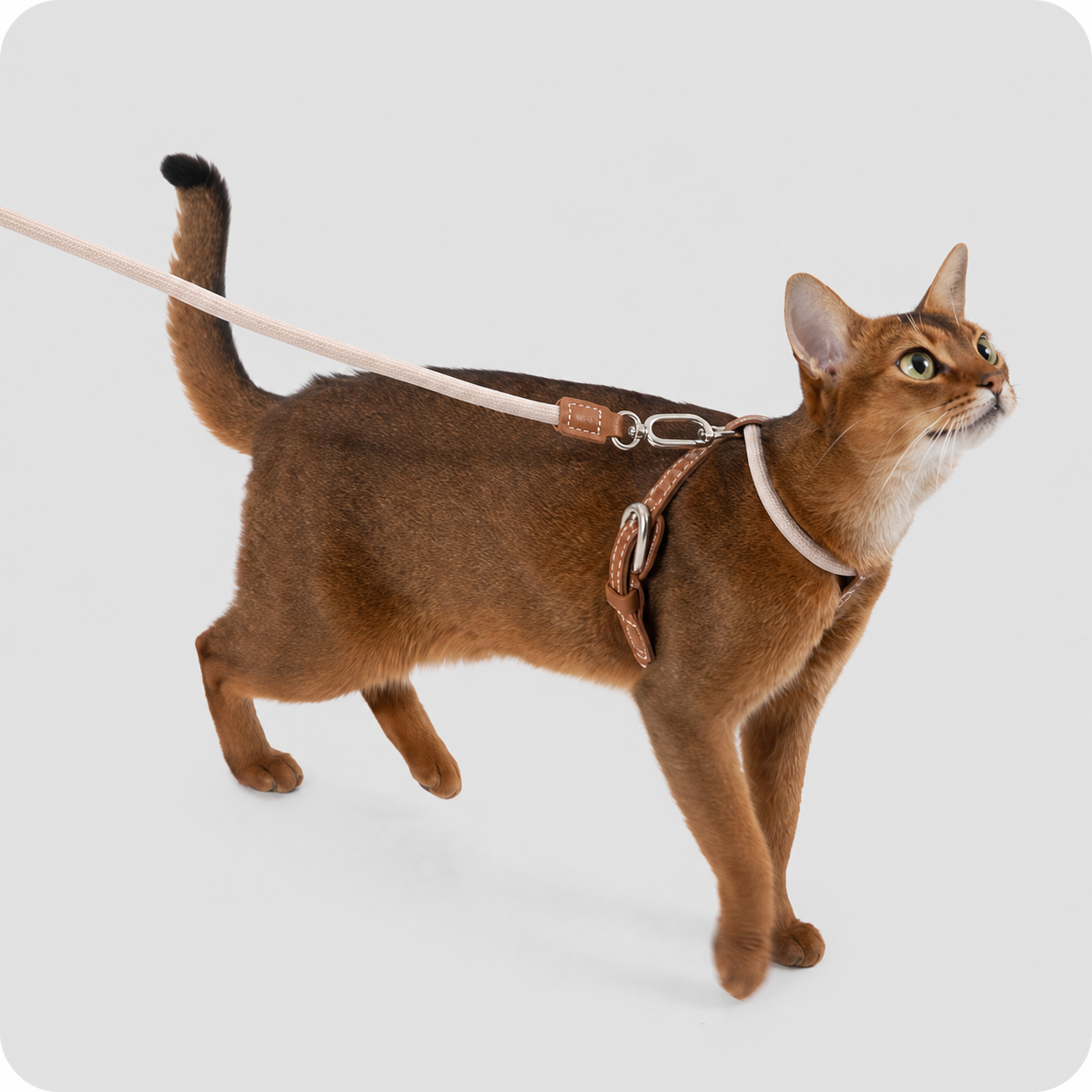 HiDREAM X-Shape Cat Harness & Leash Set | Escape-Proof, Lightweight 33g with Leather Buckle