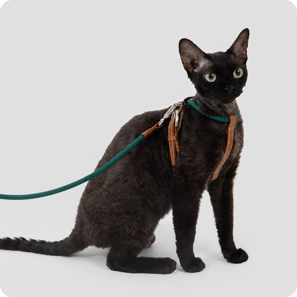 HiDREAM X-Shape Cat Harness & Leash Set | Escape-Proof, Lightweight 33g with Leather Buckle