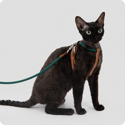 HiDREAM X-Shape Cat Harness & Leash Set | Escape-Proof, Lightweight 33g with Leather Buckle