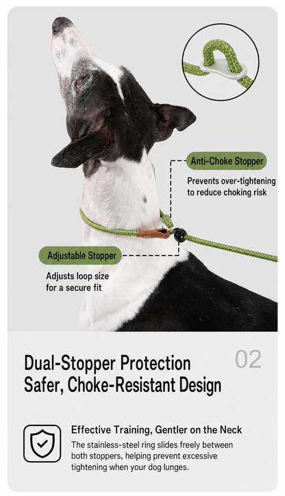 HiDREAM Dual-Stopper Slip Lead | Anti-Choke Dog Leash with Leather Handle & 360° Swivel Clip
