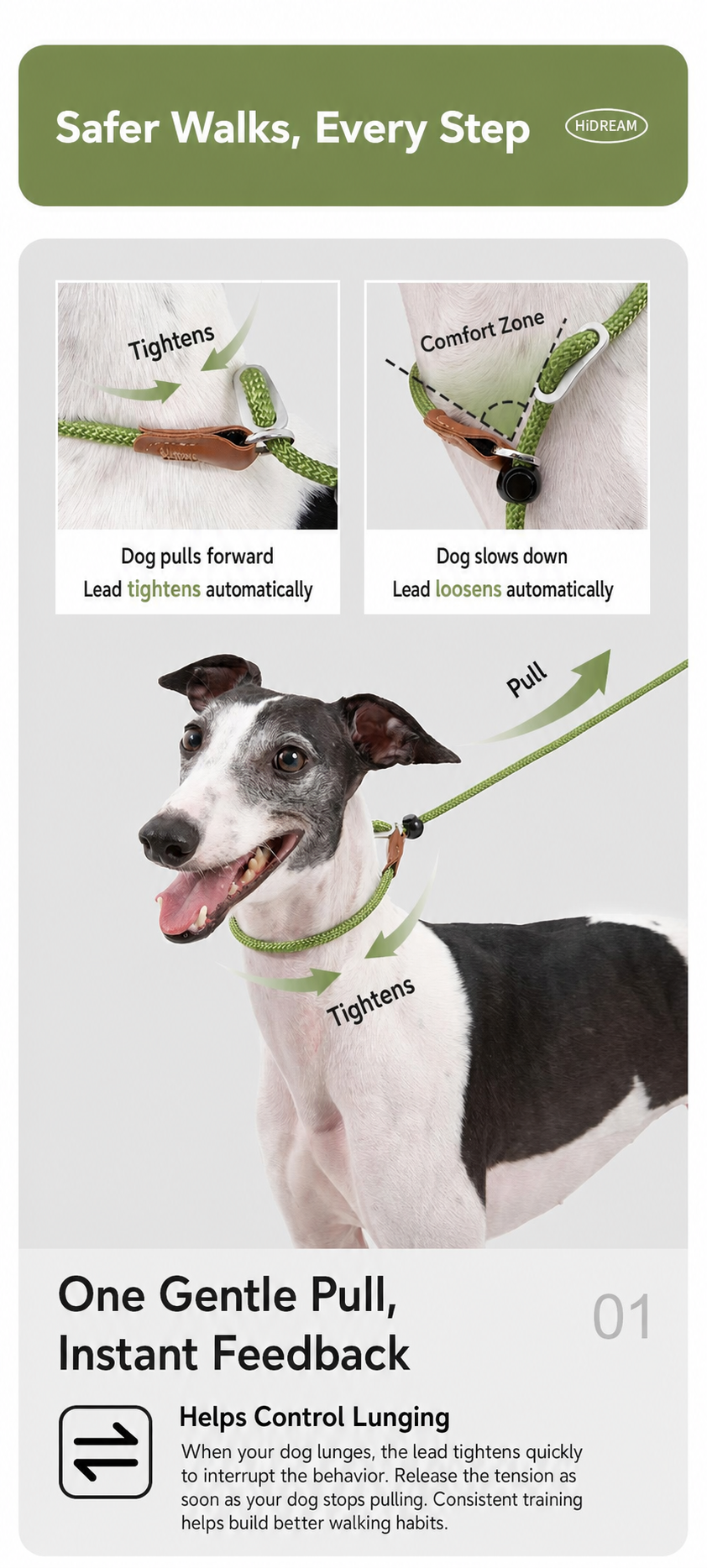 HiDREAM Dual-Stopper Slip Lead | Anti-Choke Dog Leash with Leather Handle & 360° Swivel Clip