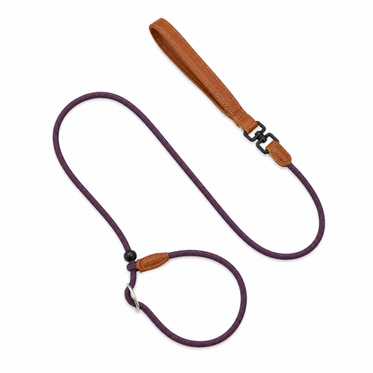 HiDREAM Dual-Stopper Slip Lead | Anti-Choke Dog Leash with Leather Handle & 360° Swivel Clip