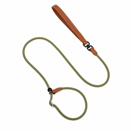 HiDREAM Anti-Choke Slip Lead — Leather Handle & Swivel