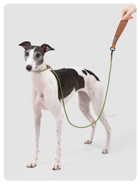 HiDREAM Anti-Choke Slip Lead — Leather Handle & Swivel