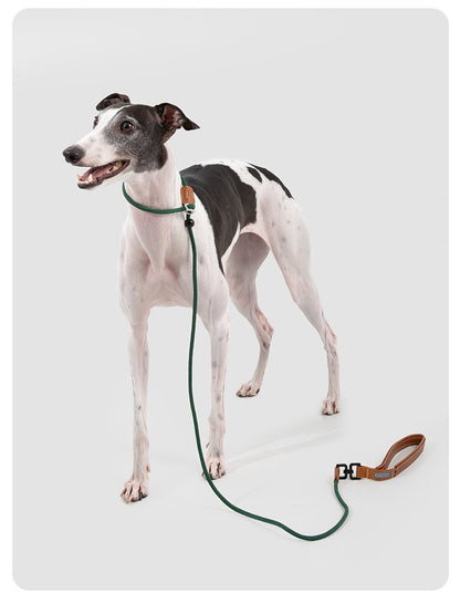 HiDREAM Dual-Stopper Slip Lead | Anti-Choke Dog Leash with Leather Handle & 360° Swivel Clip