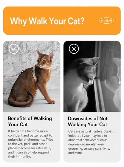 HiDREAM Bobo Free-Explore Cat Harness & Leash Set