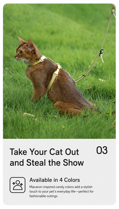 HiDREAM Bobo Free-Explore Cat Harness & Leash Set