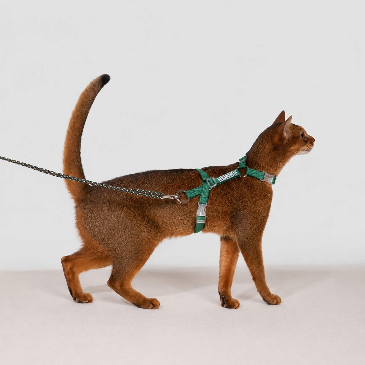 HiDREAM Bobo Free-Explore Cat Harness & Leash Set