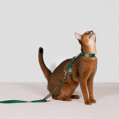 HiDREAM Bobo Free-Explore Cat Harness & Leash Set
