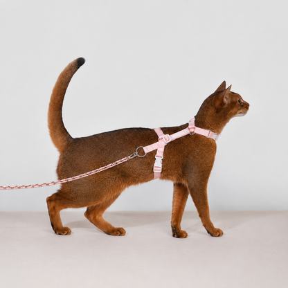 HiDREAM Bobo Free-Explore Cat Harness & Leash Set