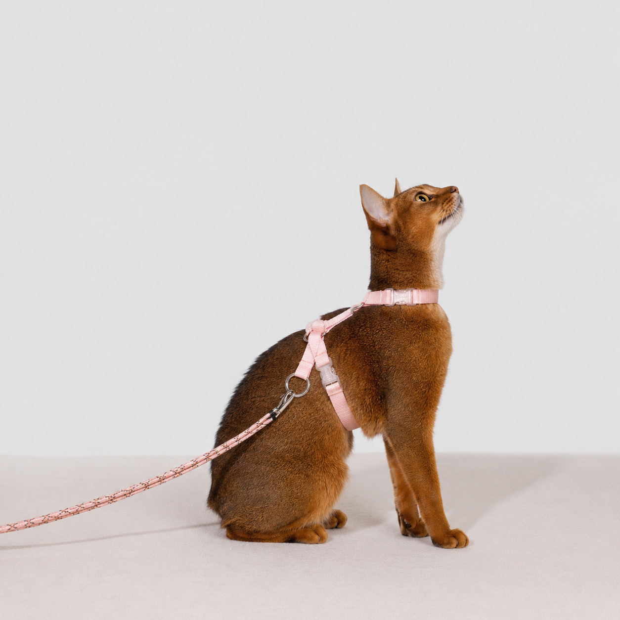 HiDREAM Bobo Free-Explore Cat Harness & Leash Set