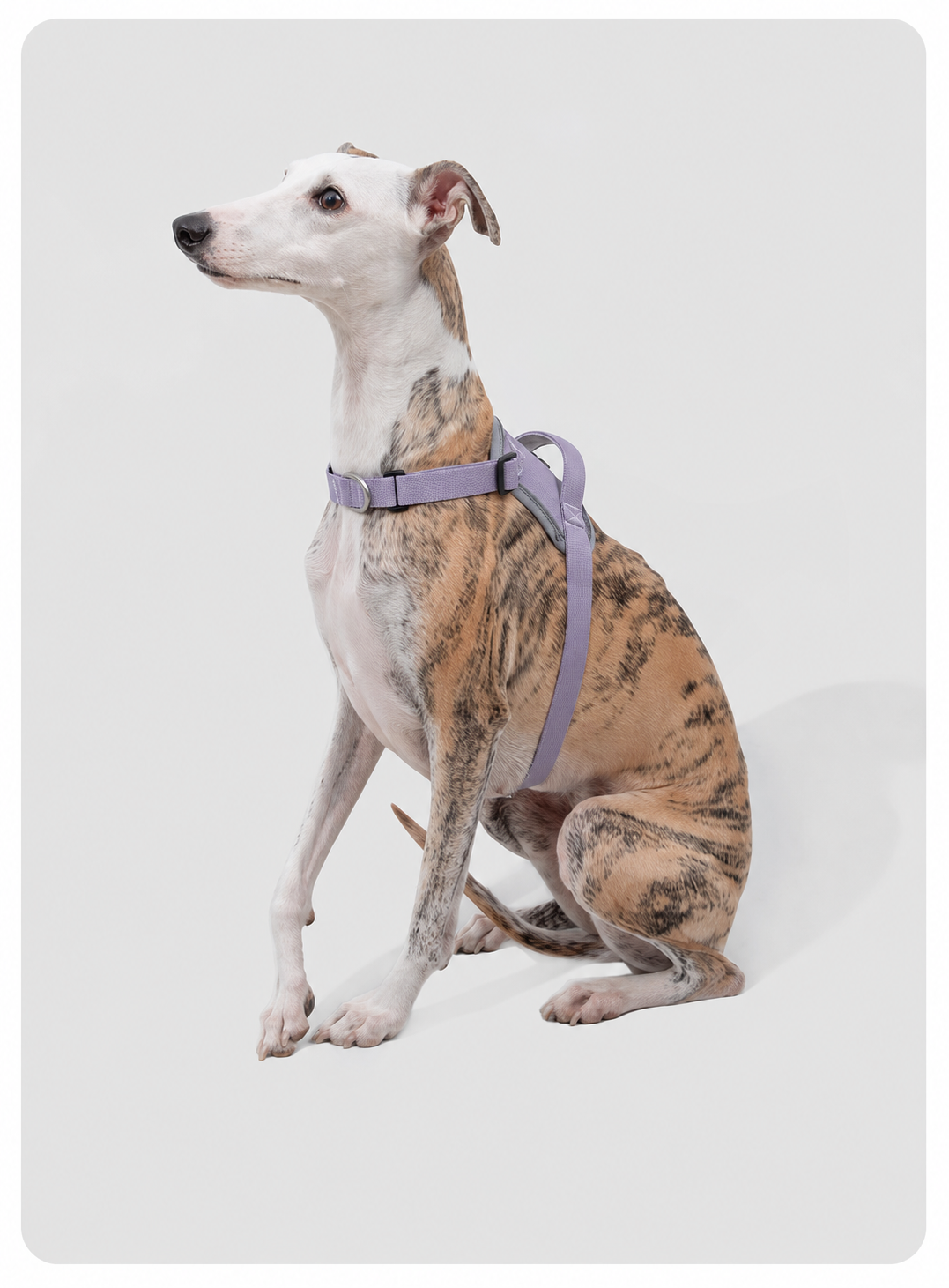 HiDREAM Valley Series Anti-Burst Quick-Fit Dog Harness | No-Pull Step-In Vest for Dogs