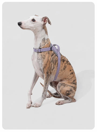 HiDREAM Valley Series Anti-Burst Quick-Fit Dog Harness | No-Pull Step-In Vest for Dogs