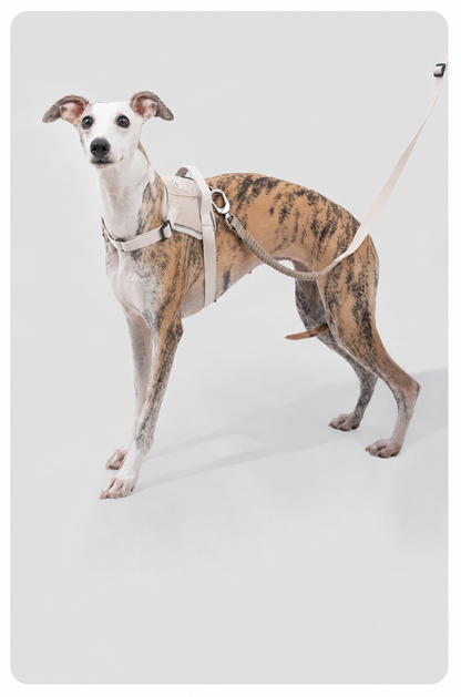 HiDREAM Valley Series Anti-Burst Quick-Fit Dog Harness | No-Pull Step-In Vest for Dogs
