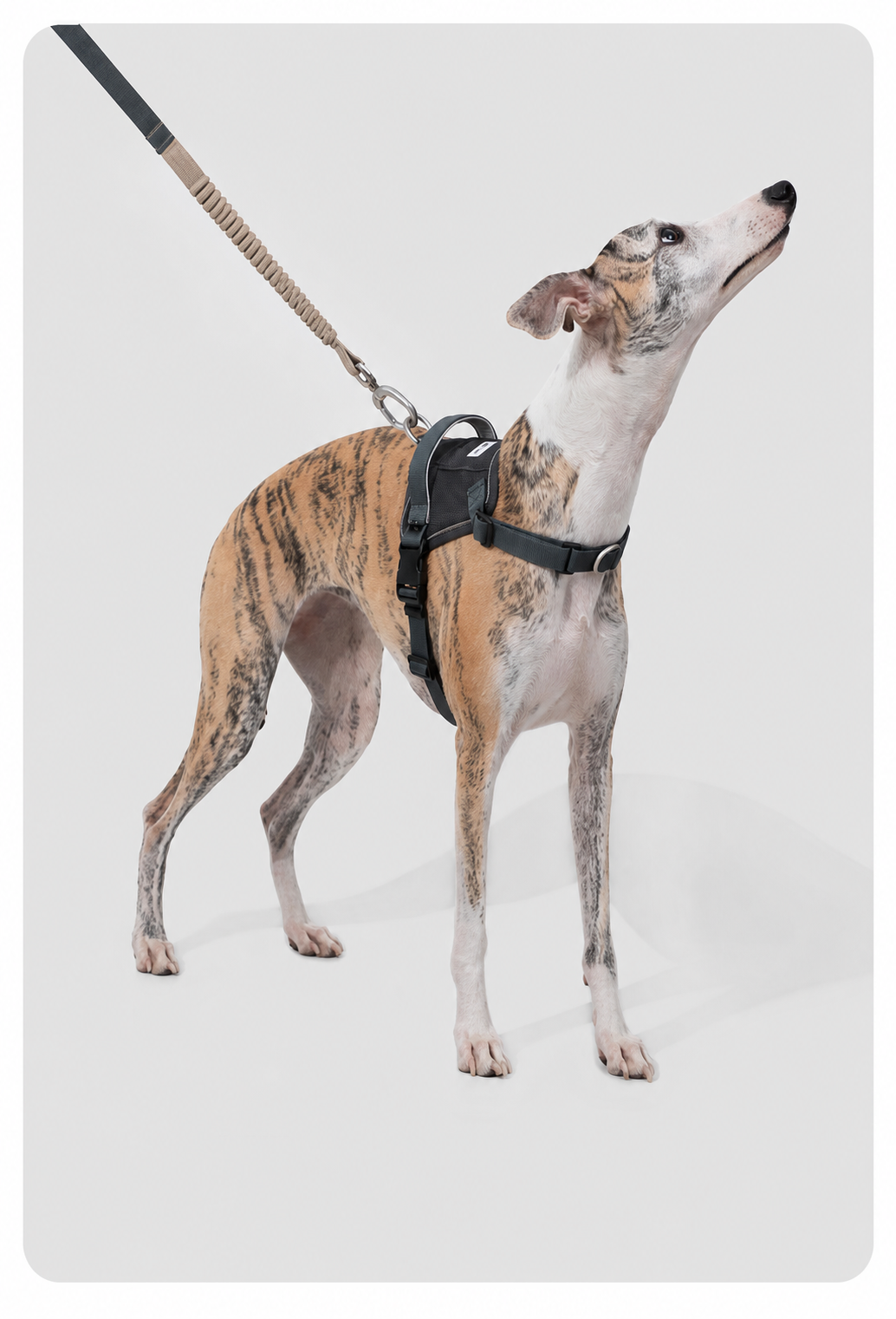 HiDREAM Valley Series Anti-Burst Quick-Fit Dog Harness | No-Pull Step-In Vest for Dogs