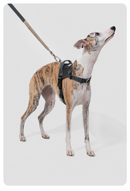 HiDREAM Valley Series Anti-Burst Quick-Fit Dog Harness | No-Pull Step-In Vest for Dogs