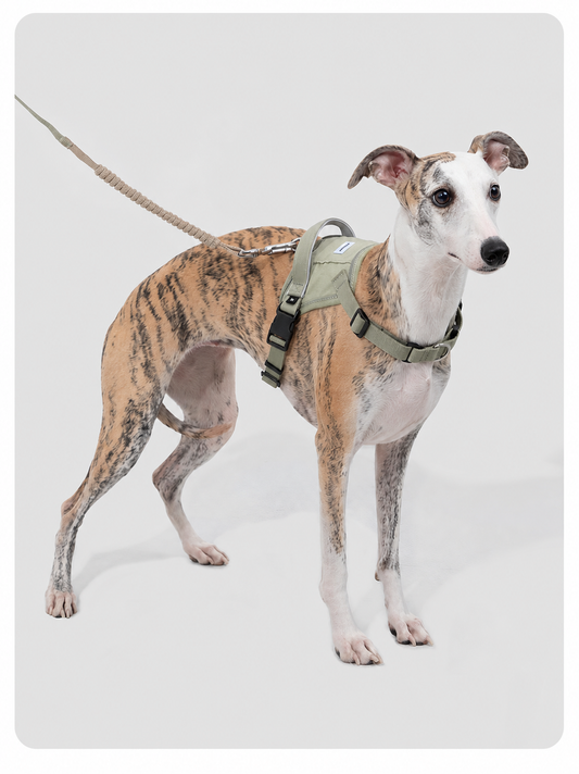 HiDREAM Anti-Burst Step-In Dog Harness — No-Pull Vest