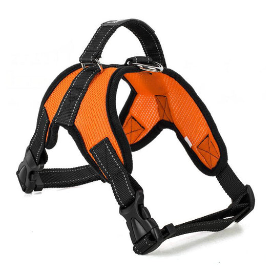 Breathable Dog Leash with Simple Pet Chest Harness