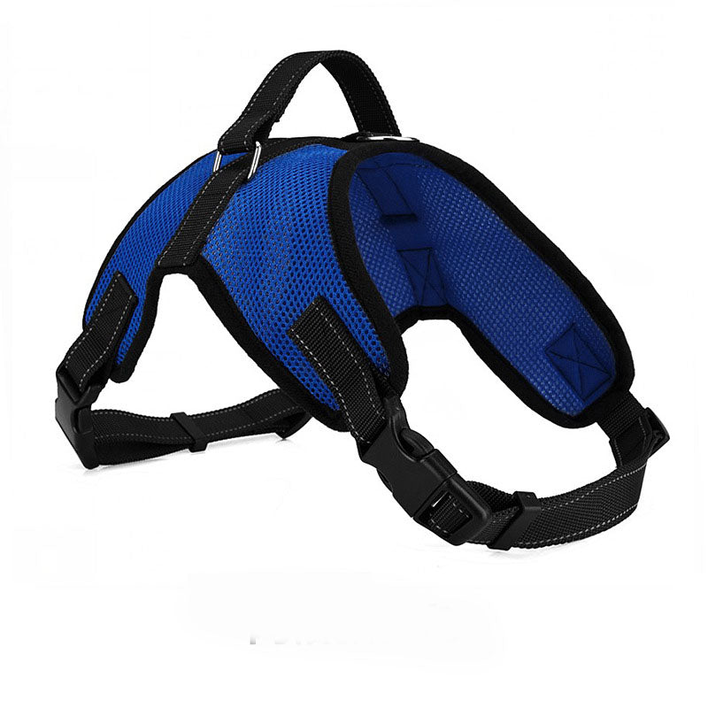 Breathable Dog Leash with Simple Pet Chest Harness