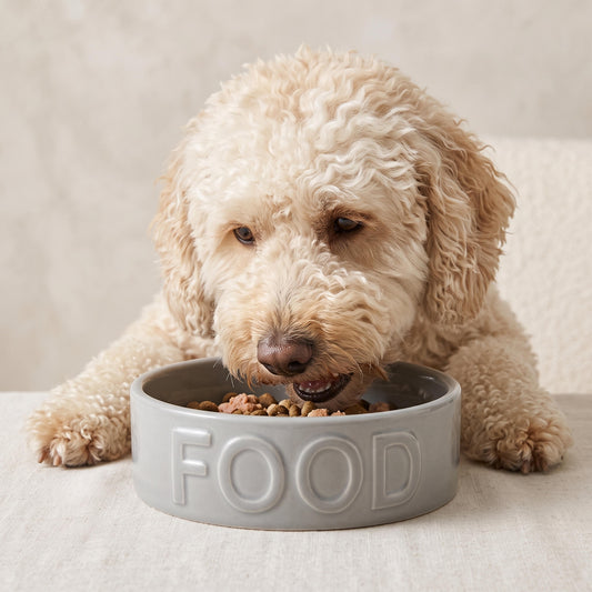 Park Life Ceramic Pet Bowls – Food Water Bowls for Dogs and Cats - Cute Pet Bowl for Small Medium and Large Size Dogs and Cats - Puppy Bowls (Small Grey)