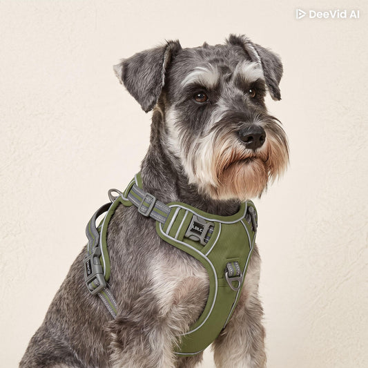 Explosion-proof Reflective Pet Chest & Back Harness